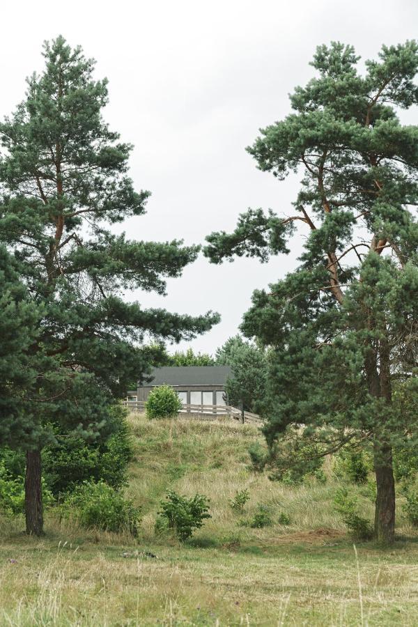 Domki W Lesie Gdansk 35 Km Bozepole Krolewskie ภายนอก รูปภาพ